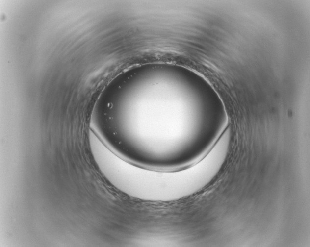 X0000088881014200706221809