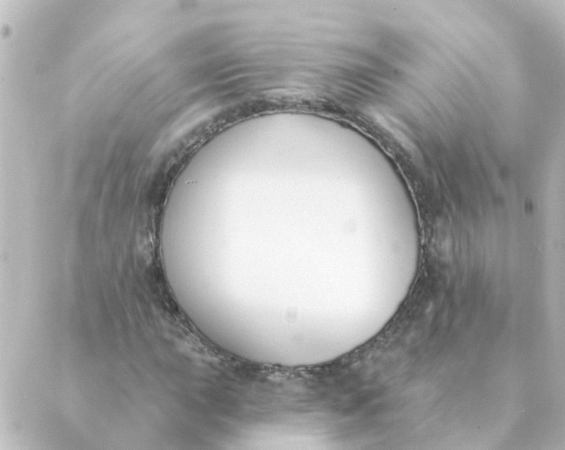 X0000088881015200706221809