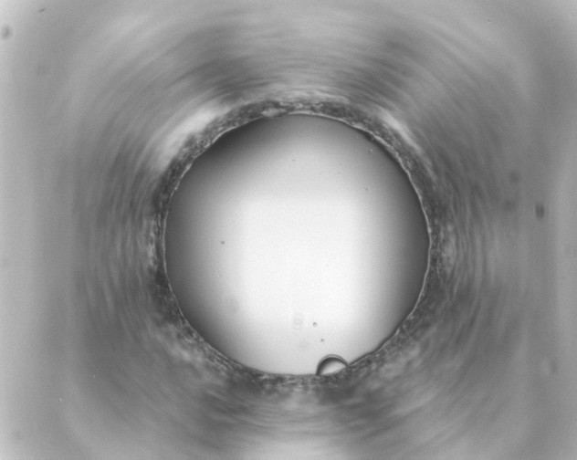 X0000088881016200706221809