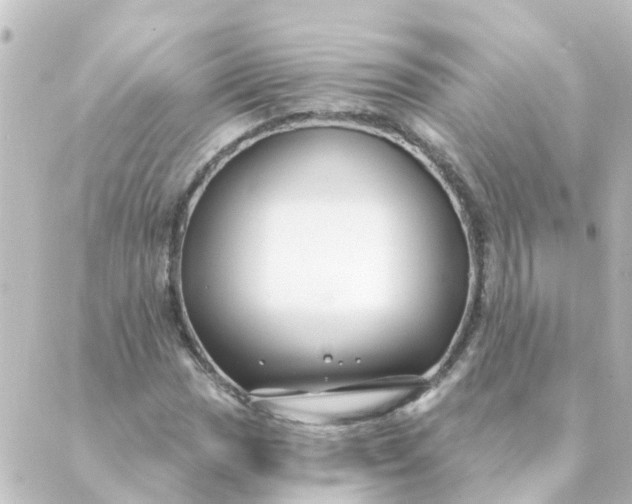 X0000088881017200706221809