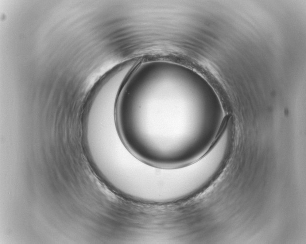 X0000088881018200706221809