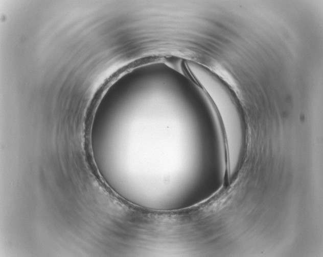 X0000088881020200706221809