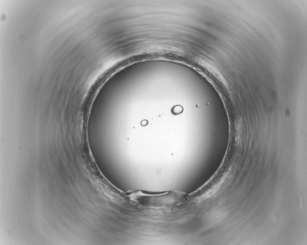 X0000088881021200706221809