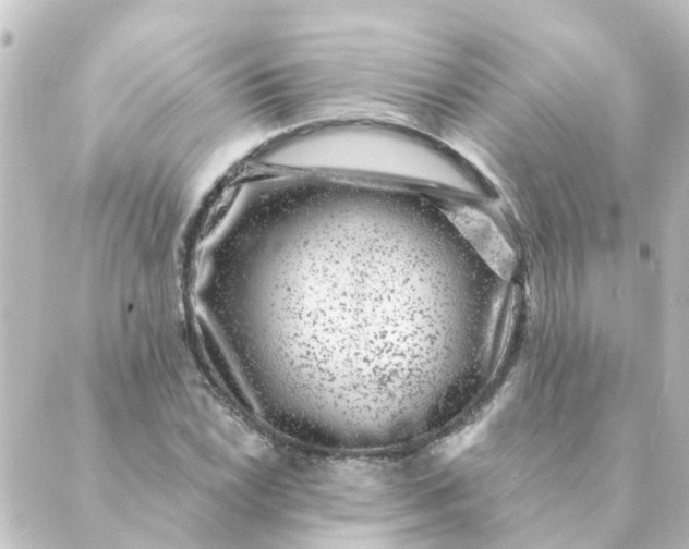 X0000088881022200706221809