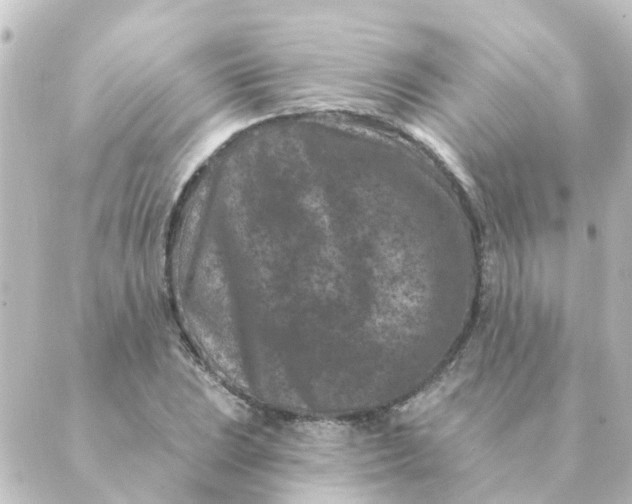 X0000088881023200706221809