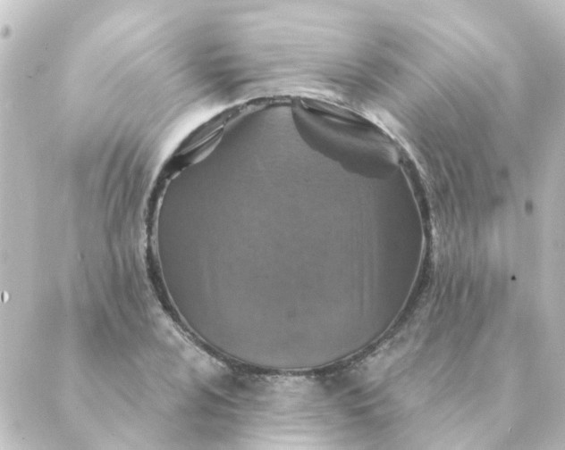 X0000088881024200706221809