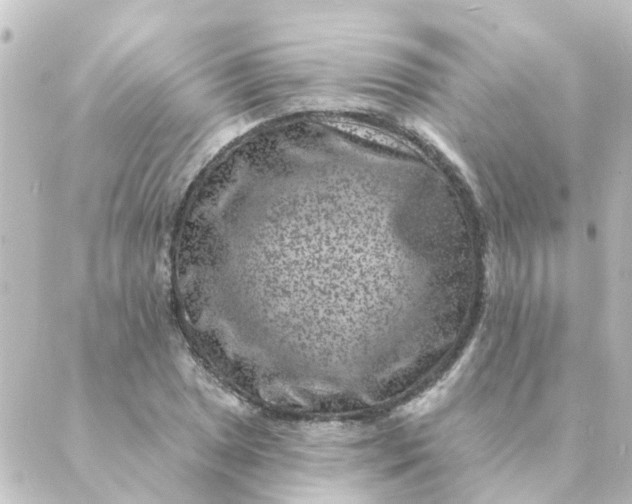 X0000088881025200706221809