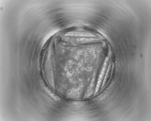 X0000088881026200706221809