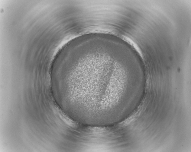 X0000088881027200706221809