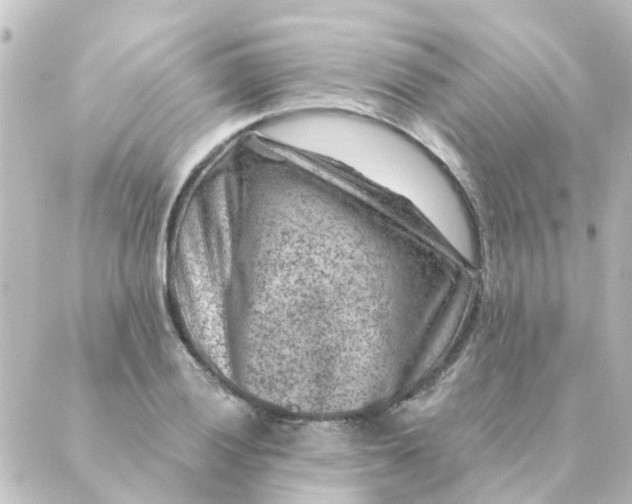 X0000088881028200706221809