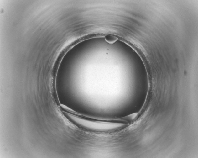 X0000088881029200706221809