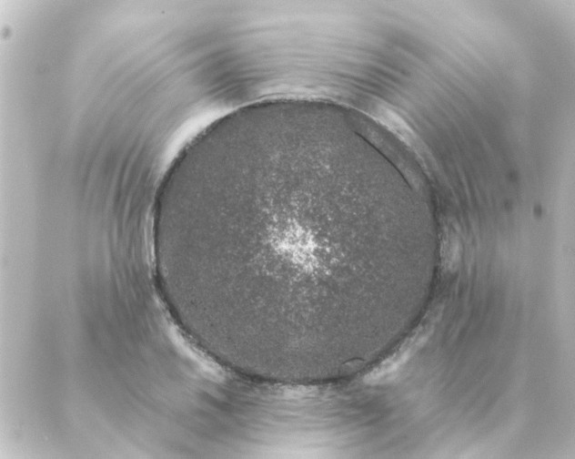 X0000088881030200706221809