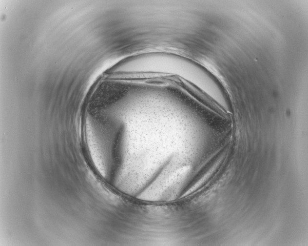 X0000088881032200706221809