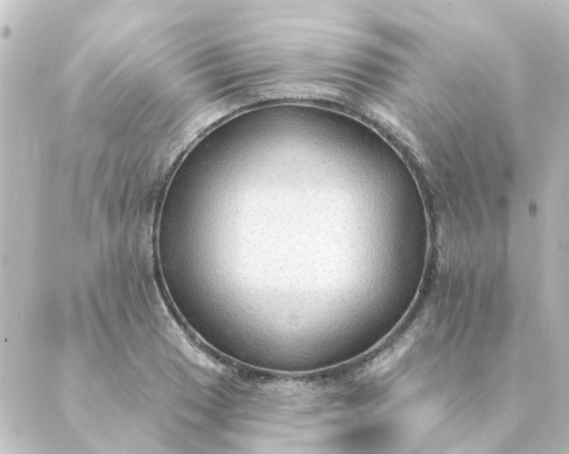 X0000088881033200706221809