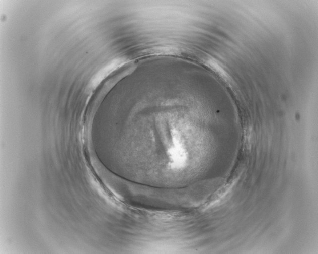 X0000088881034200706221809