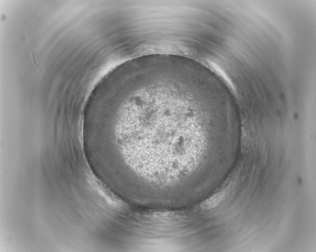 X0000088881035200706221809