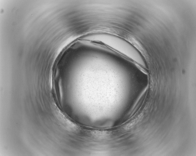 X0000088881036200706221809