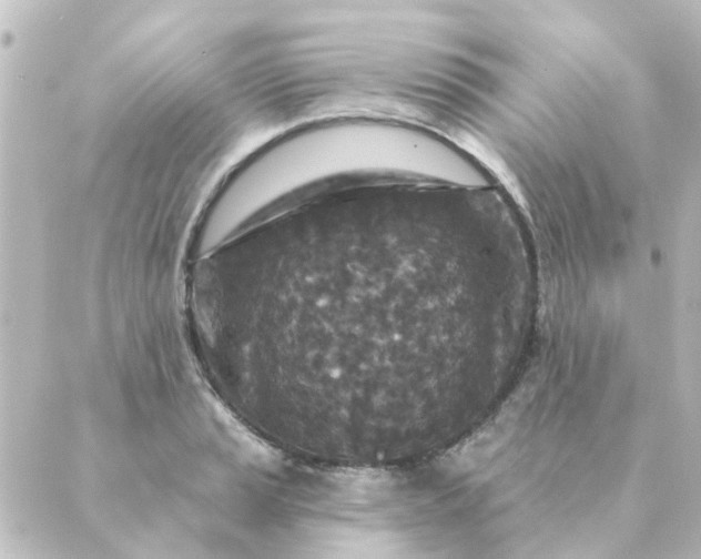 X0000088881037200706221809