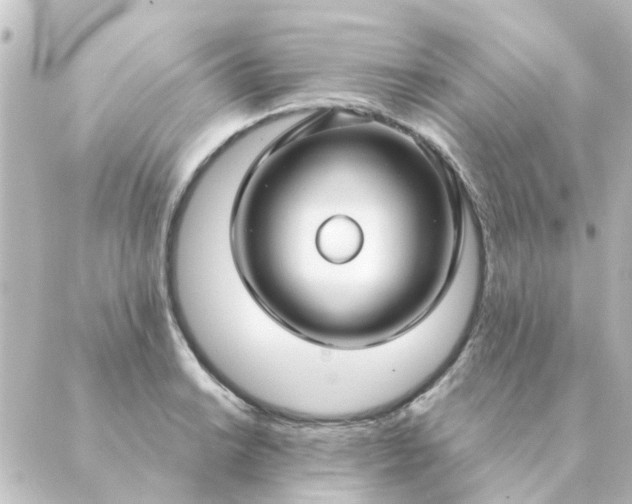 X0000088881038200706221809