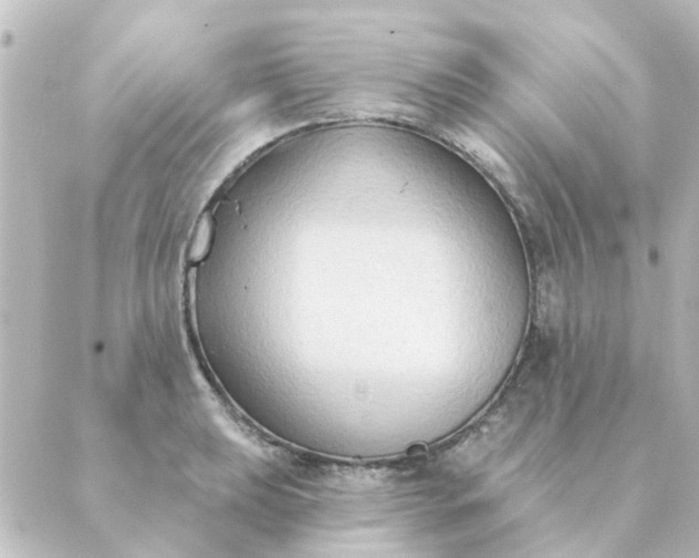 X0000088881039200706221809