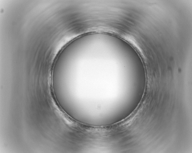 X0000088881040200706221809