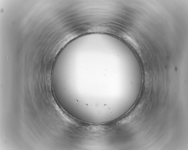 X0000088881041200706221809