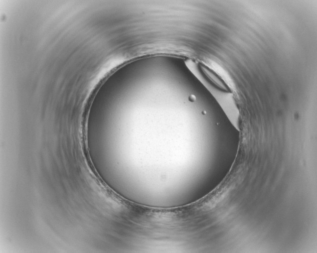 X0000088881043200706221809