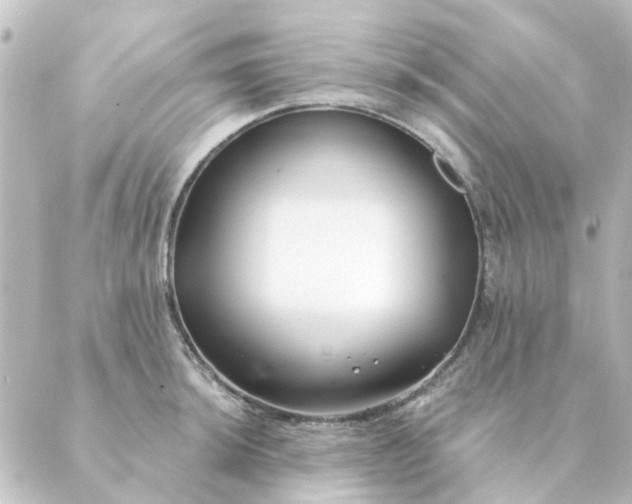 X0000088881044200706221809