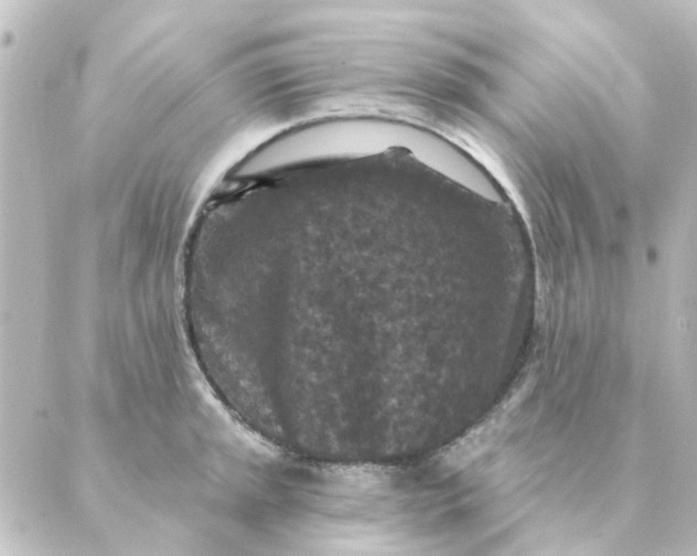 X0000088881045200706221809