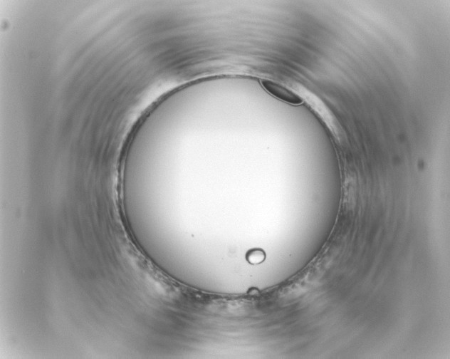 X0000088881051200706221810