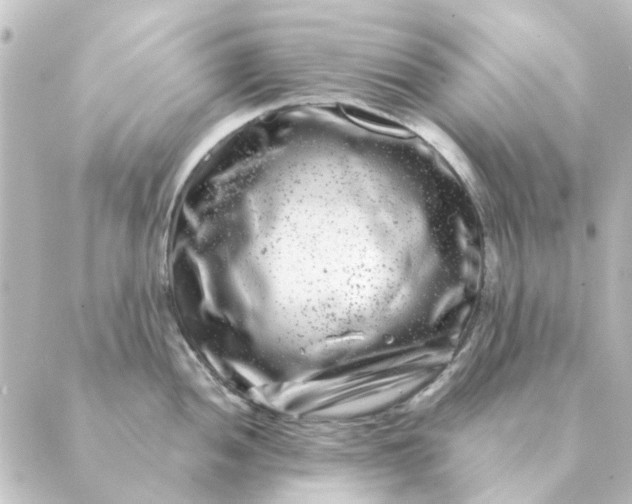 X0000088881052200706221810