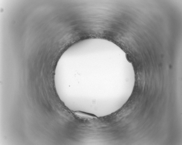 X0000088881057200706221809