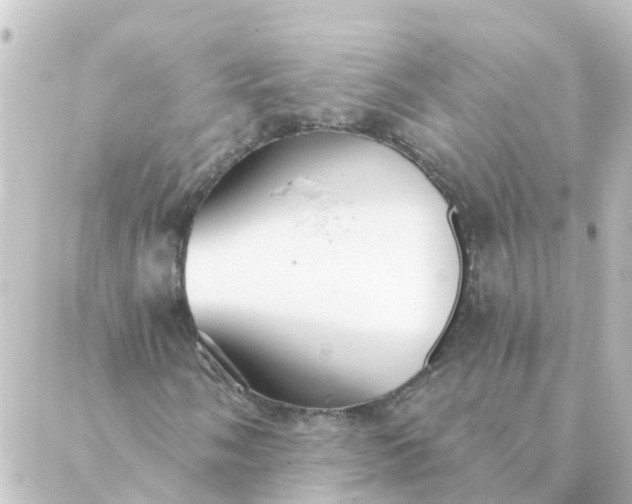 X0000088881058200706221809