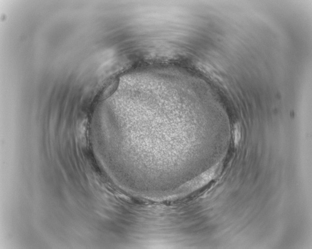 X0000088881059200706221809