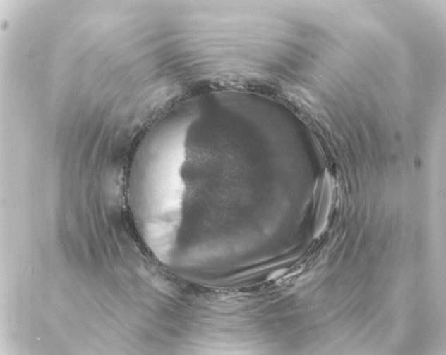 X0000088881060200706221809