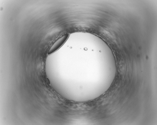 X0000088881061200706221809