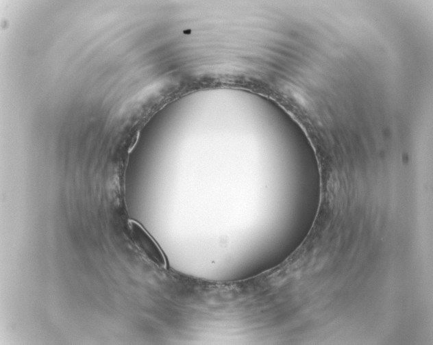 X0000088881062200706221809