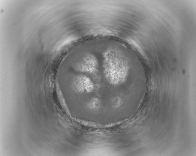 X0000088881063200706221809