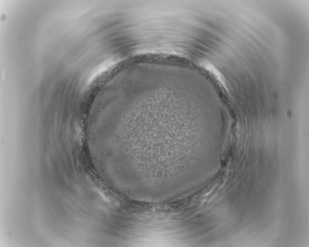 X0000088881064200706221809