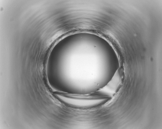 X0000088881065200706221809