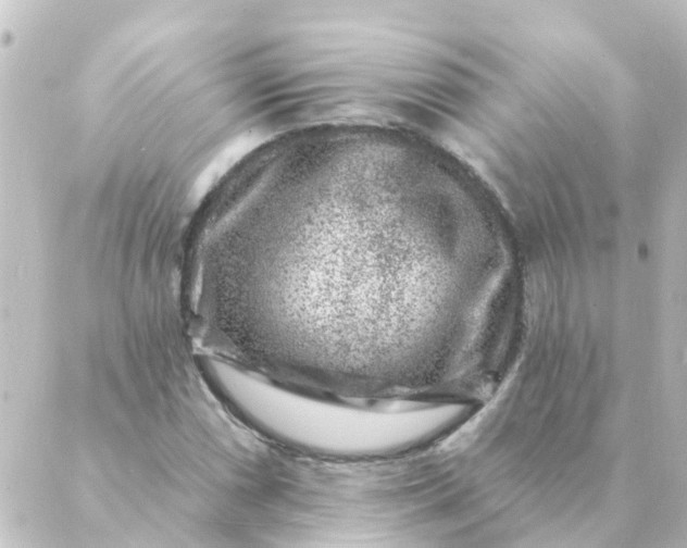 X0000088881066200706221809