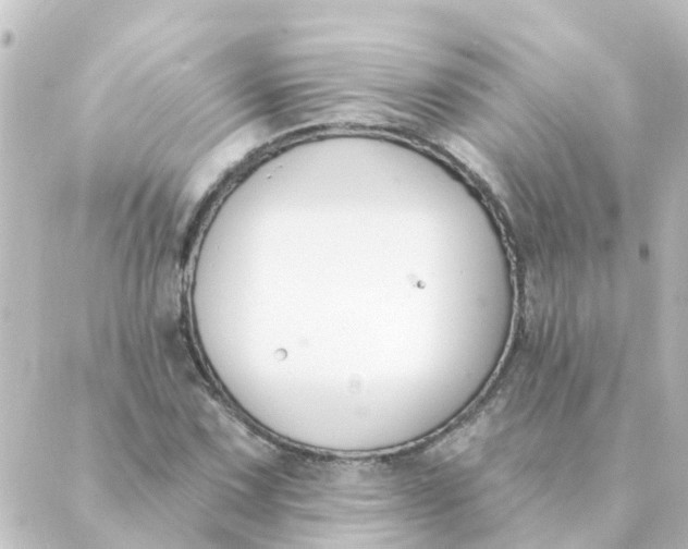 X0000088881067200706221809