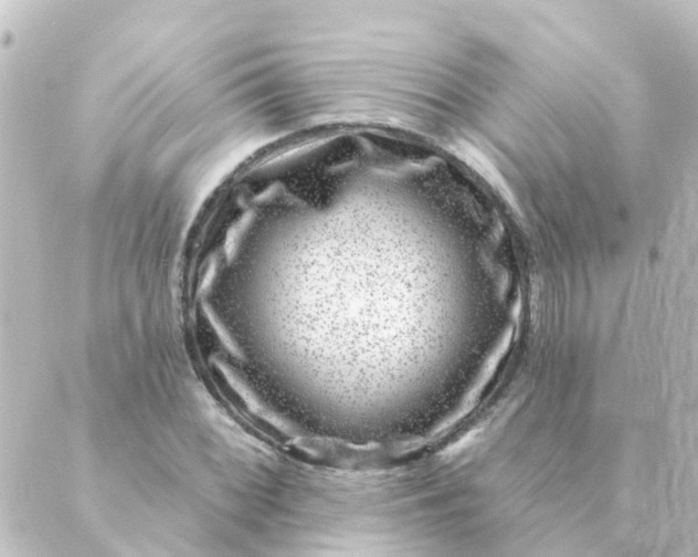 X0000088881068200706221809