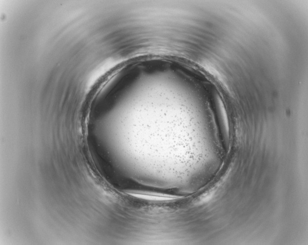 X0000088881070200706221809