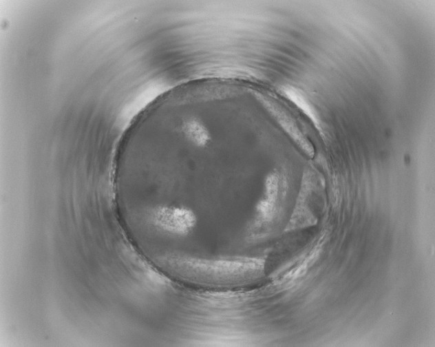 X0000088881071200706221809