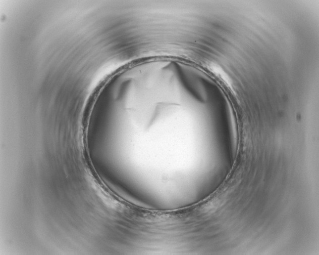 X0000088881072200706221809