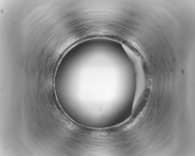 X0000088881073200706221809