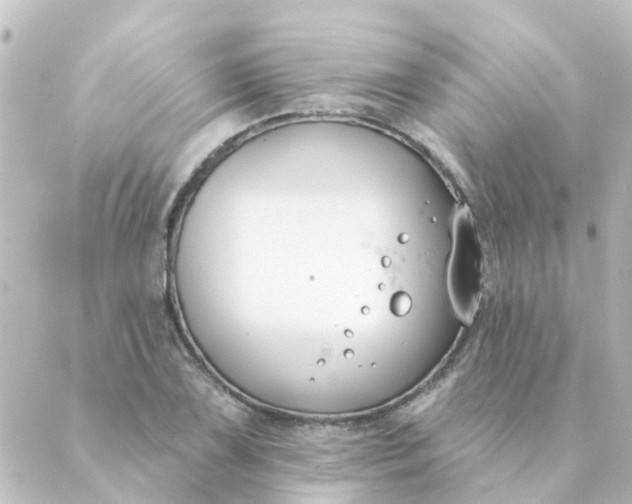 X0000088881075200706221809