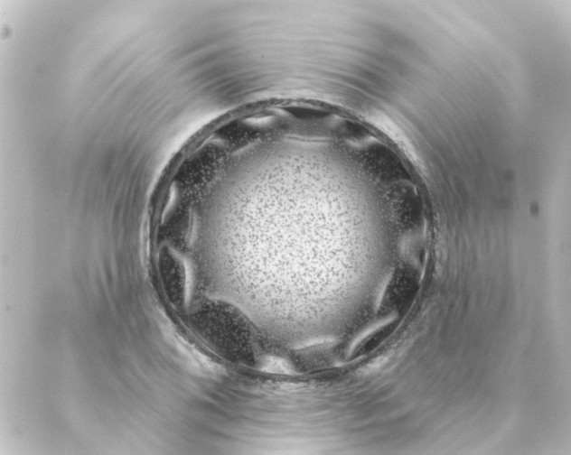 X0000088881076200706221809