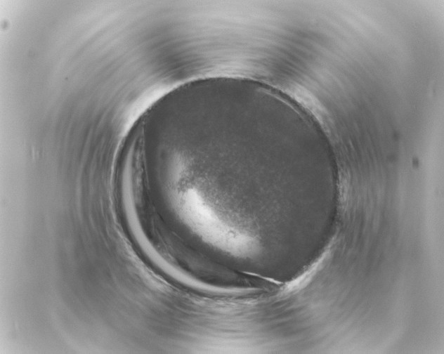 X0000088881077200706221809